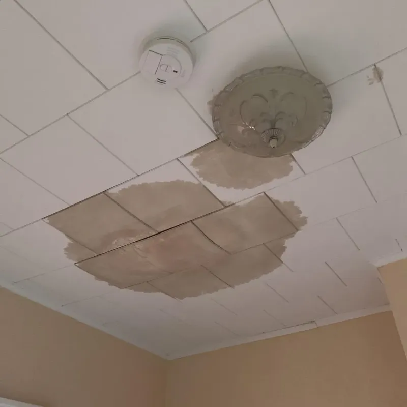 Ceiling Water Damage Repair in Volcano, HI