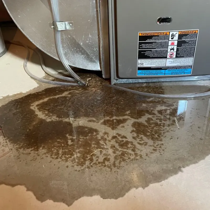 Pipe Burst and Leak Restoration in Volcano, HI